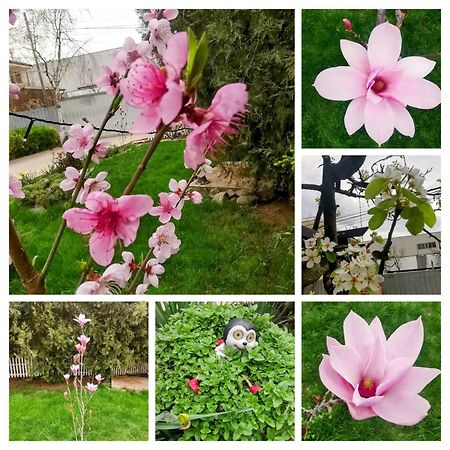 Cristalex Villaverde Bucharest Pantelimon 外观 照片