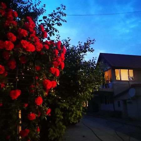 Cristalex Villaverde Bucharest Pantelimon 外观 照片