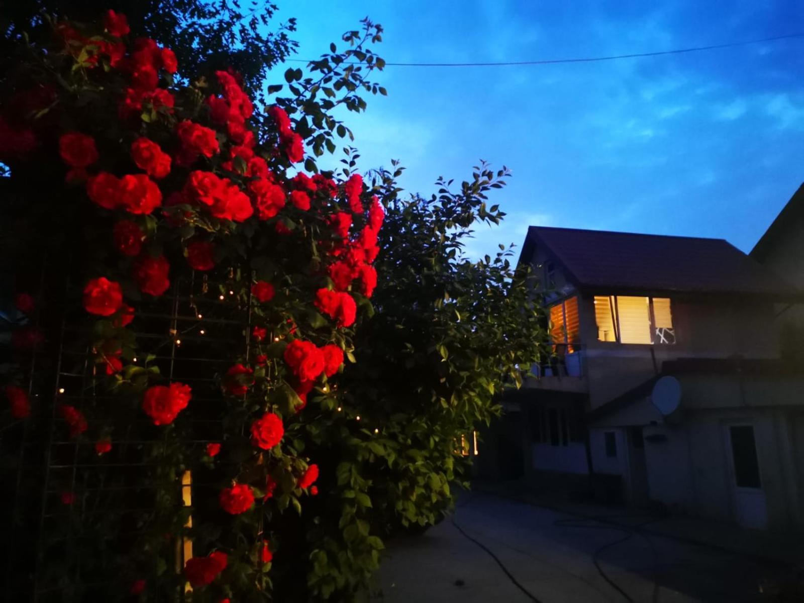 Cristalex Villaverde Bucharest Pantelimon 外观 照片