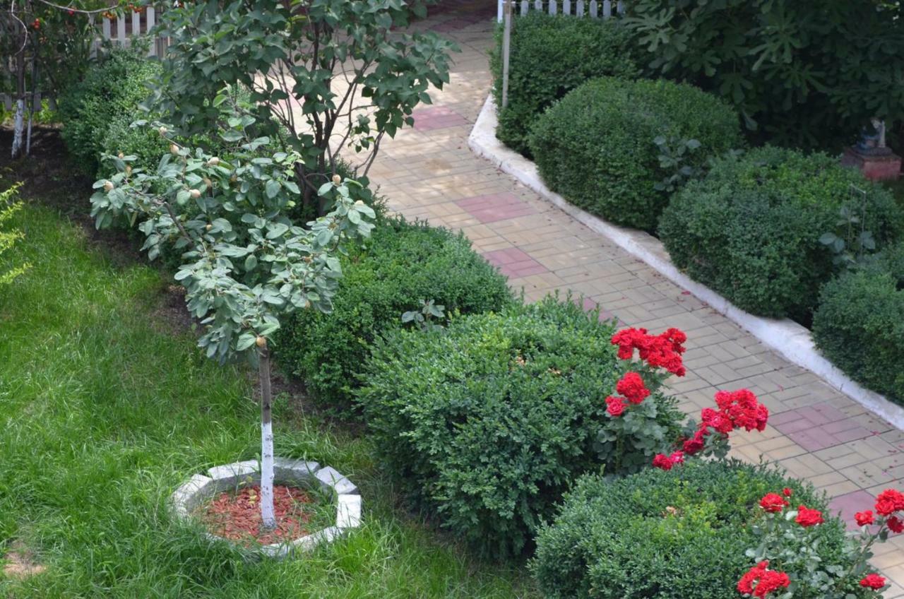 Cristalex Villaverde Bucharest Pantelimon 外观 照片